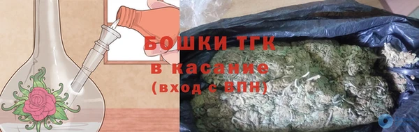гидра Богородск