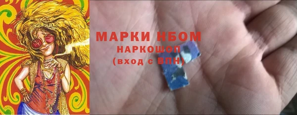 гидра Богородск