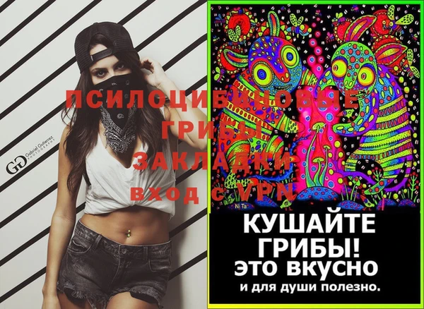 СК Богородицк