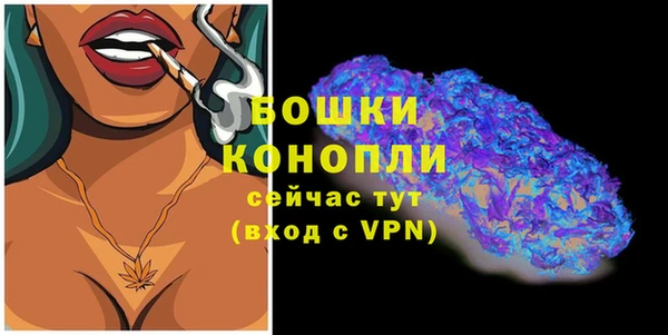 гидра Богородск