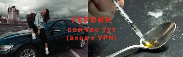 гидра Богородск