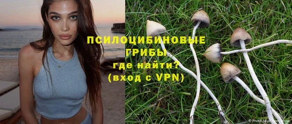 гидра Богородск