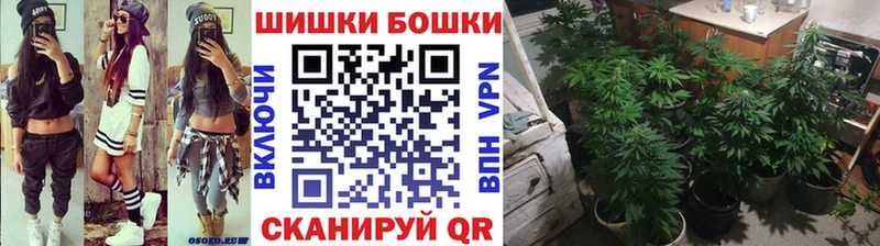 МЕГА   Владивосток  Каннабис конопля 